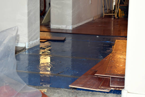 Professional Basement Flood Cleanup technician working in Kingston, MO